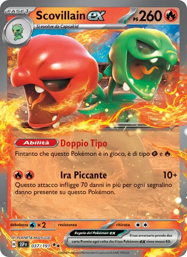 Foto articolo