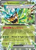 Fronte