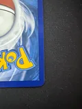 Dettaglio 8